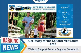 Get Ready for the National Mutt Strutt 2025: Walk to Support Service Dogs for Veterans